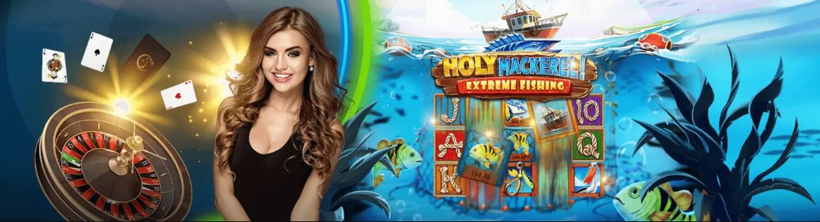 Dashboard permainan wdmahjong dengan statistik akun